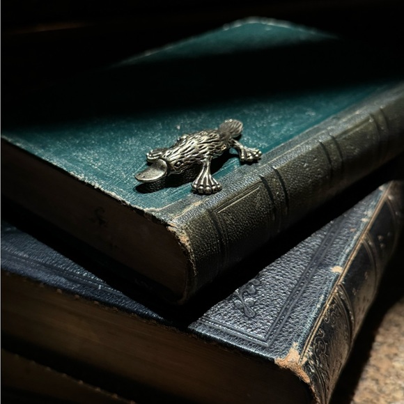 Solid Brass Platypus Vintage-style Sculpture Desk Decor - Picture 7 of 11